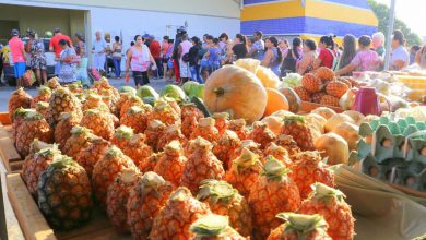 O início dos trabalhos será dia 06 de março, às 6h